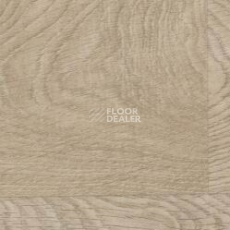 Линолеум Taralay Initial Comfort 0828 Habana Beige фото 1 | FLOORDEALER